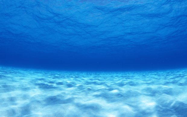 Free Desktop Underwater Wallpaper.