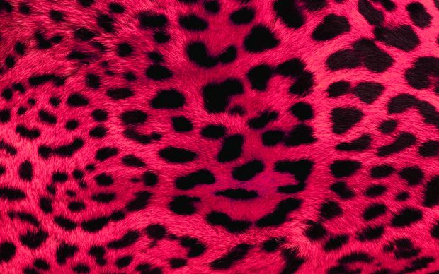 Free Download Animal Print Backgrounds.