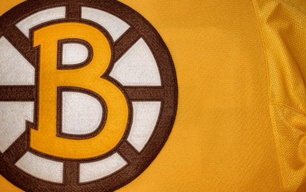 Free Download Boston Bruins Logo Image.