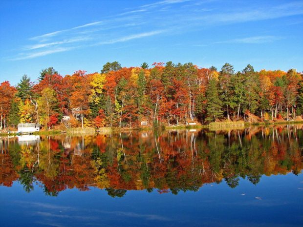 Free Download Fall Foliage Wallpapers.