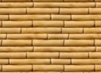 Free Download HD Bamboo Backgrounds.