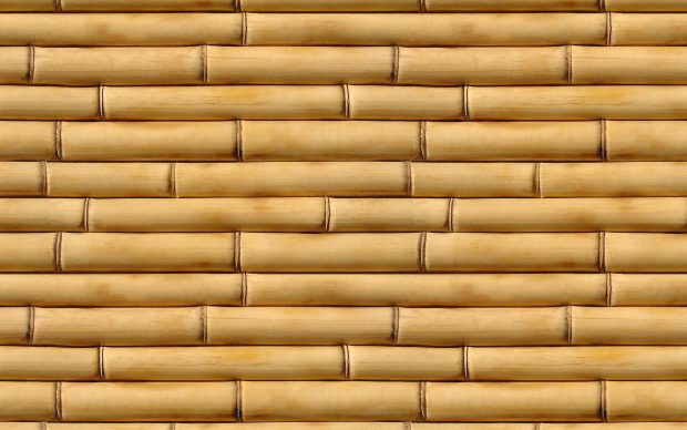 Free Download HD Bamboo Backgrounds.