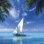 Traditional dhoni, Maldives, Indian Ocean