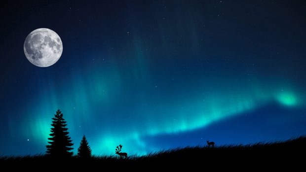 Free Download Northern Lights Wallpaper.