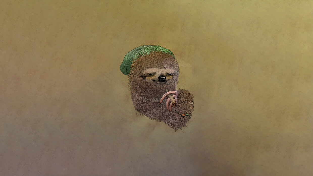 Sloth Wallpapers - PixelsTalk