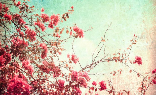 Free Download Vintage Floral Backgrounds.