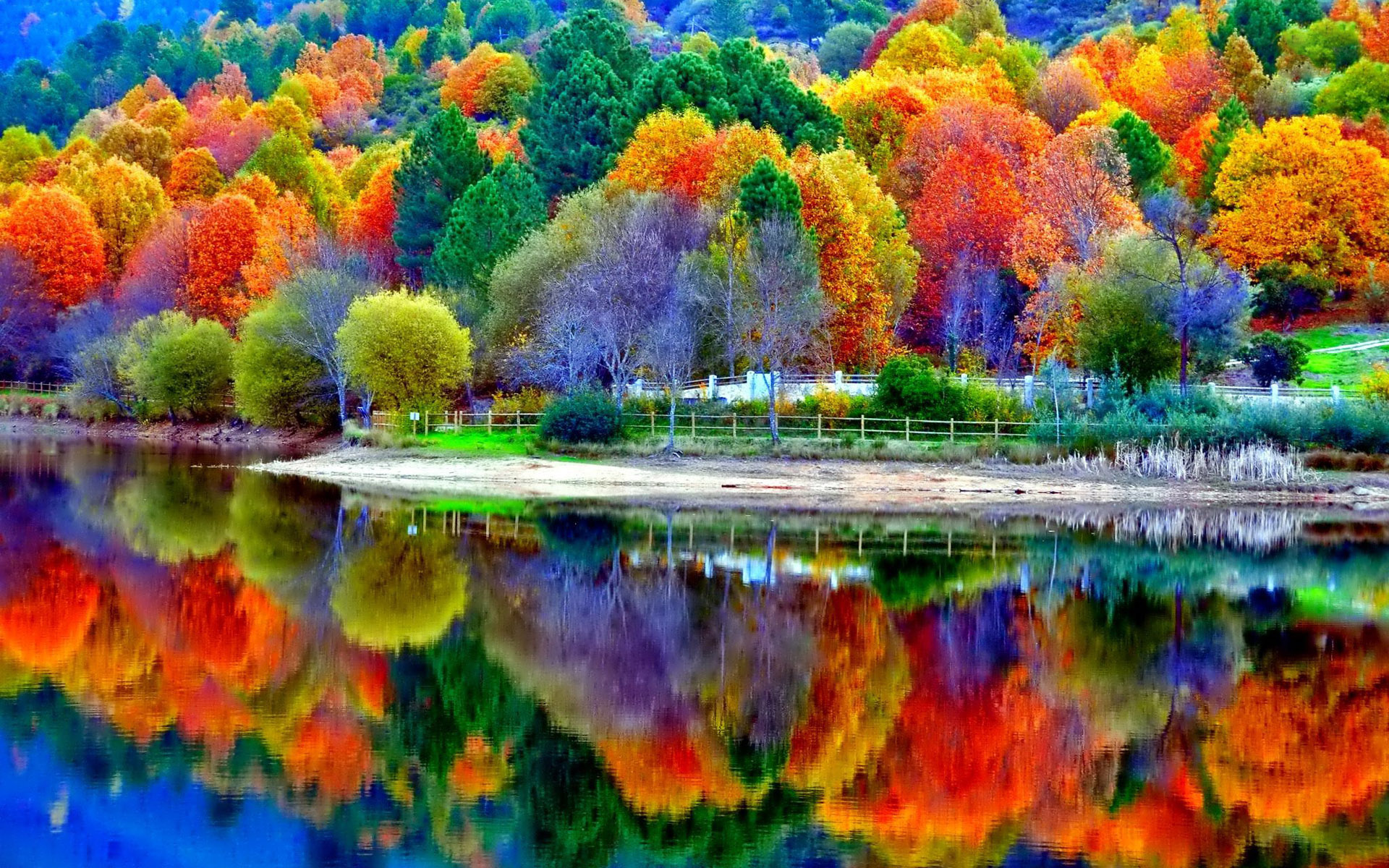 Fall Scenery Wallpaper