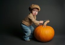 Free HD Pumpkin Wallpapers.
