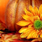 Free HD pumpkin wallpaper.