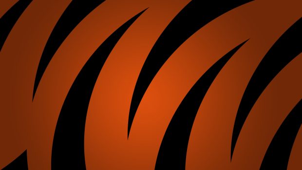 Free Images Bengals Backgrounds.