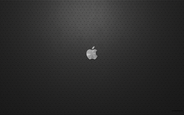 Free Leather Apple Picture Download.