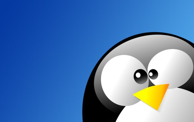 Free desktop hd linux wallpaper.