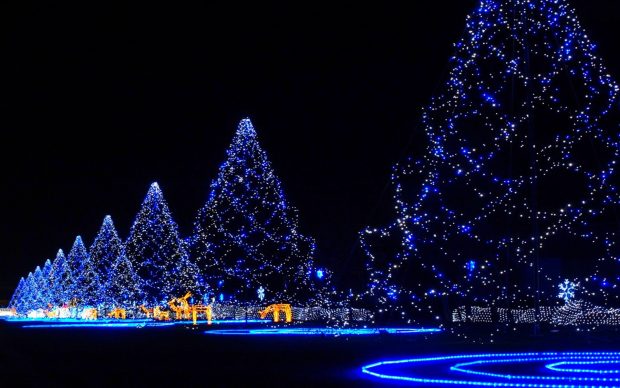 Full HD Christmas Lights Pictures HD Wallpapers.