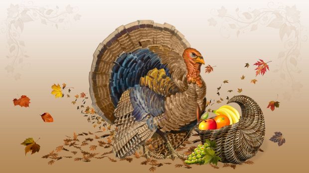 Funny Thanksgiving HD Image.