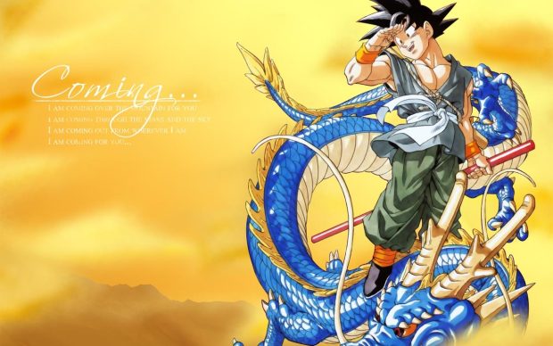 Goku Dragon Ball Z Image.