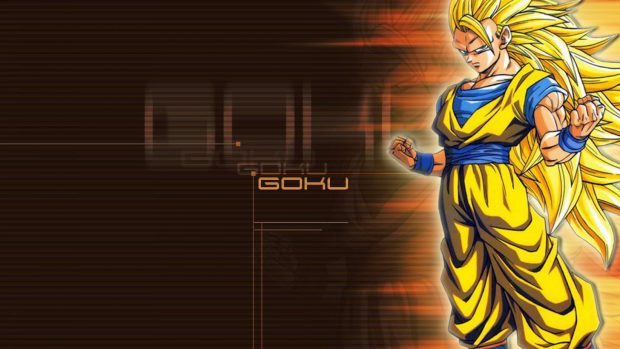 Goku Dragon Ball Z Photo HD.