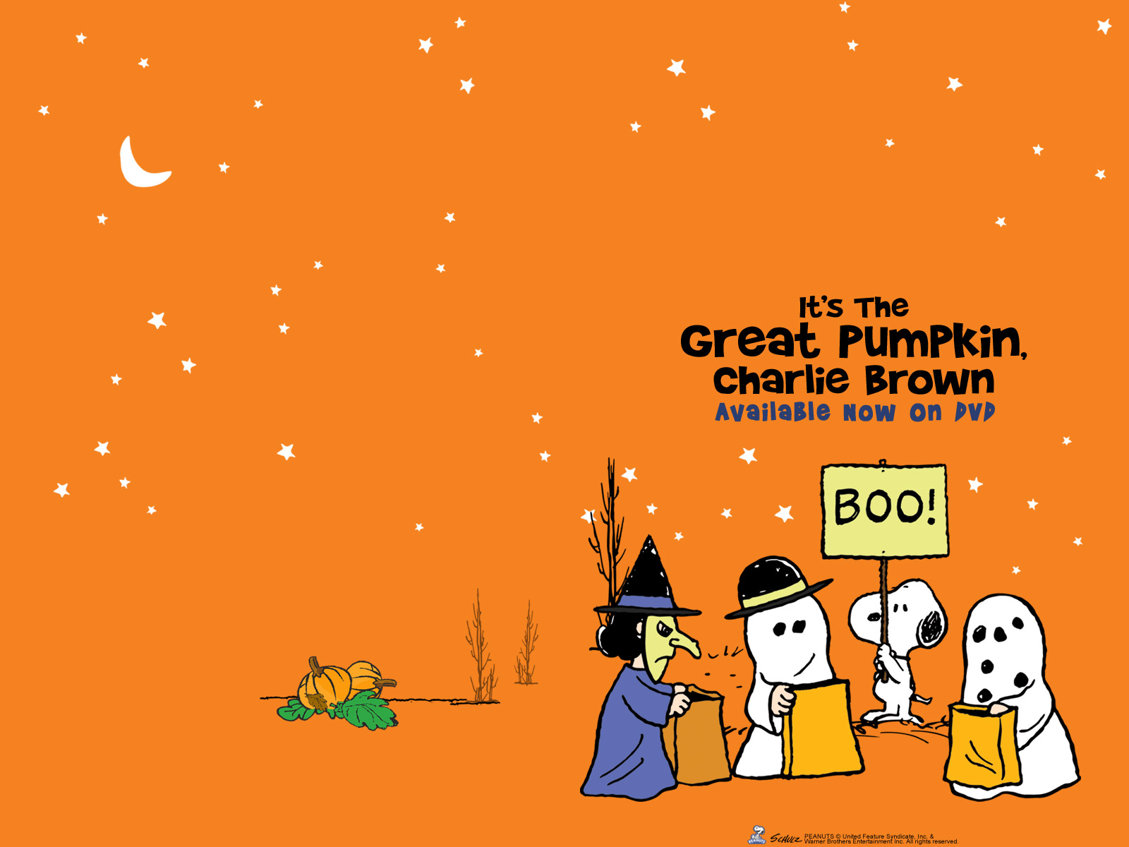 HD wallpaper Movie Its the Great Pumpkin Charlie Brown Halloween  Holiday  Wallpaper Flare