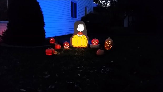 Great Pumpkin Charlie Brown Photos.