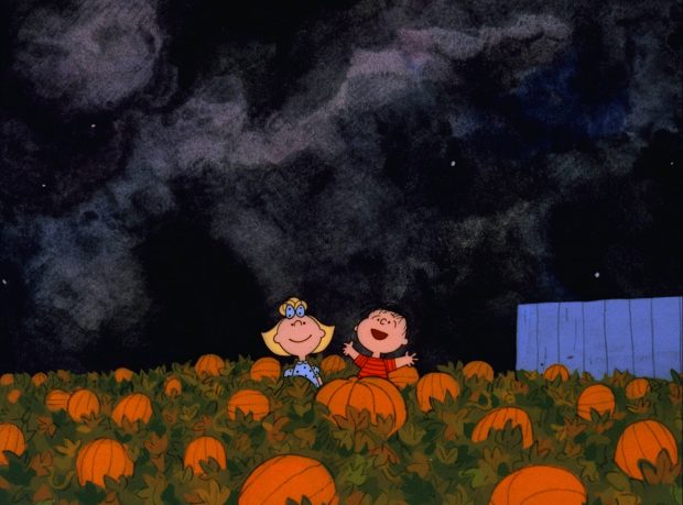 Great Pumpkin Charlie Brown Wallpaper HD.