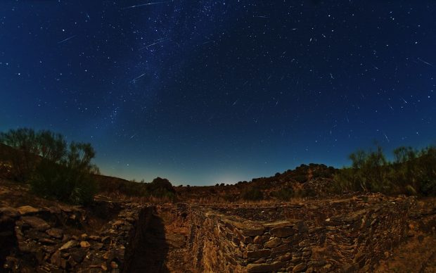 Great Starry Night Backgrounds.