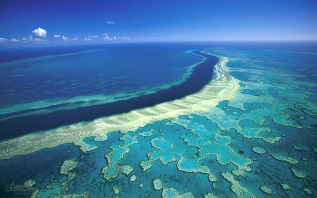 Great barrier reef backgrounds travel gallery.