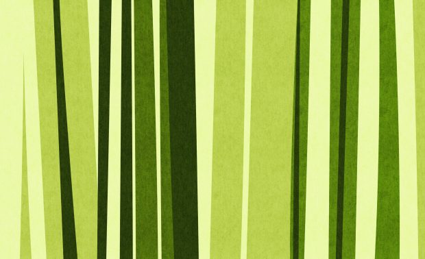 HD Bamboo Backgrounds Download.