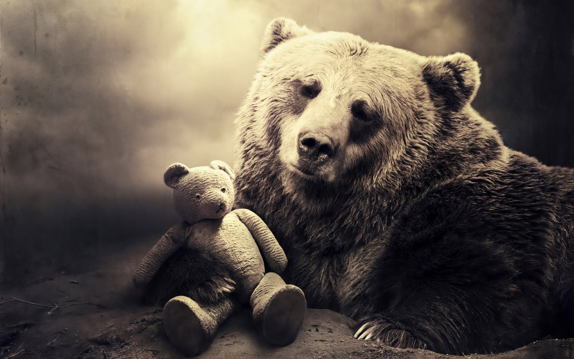 Free Desktop Bear Wallpapers Pixelstalknet