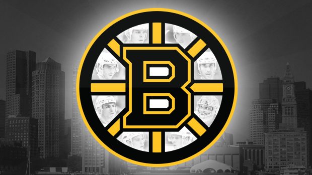 HD Boston Bruins Logo Wallpaper.