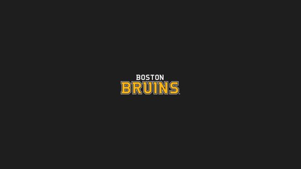 HD Boston Bruins Photo.