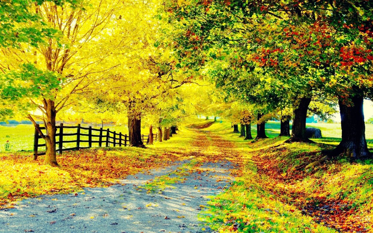Country Wallpapers - PixelsTalk