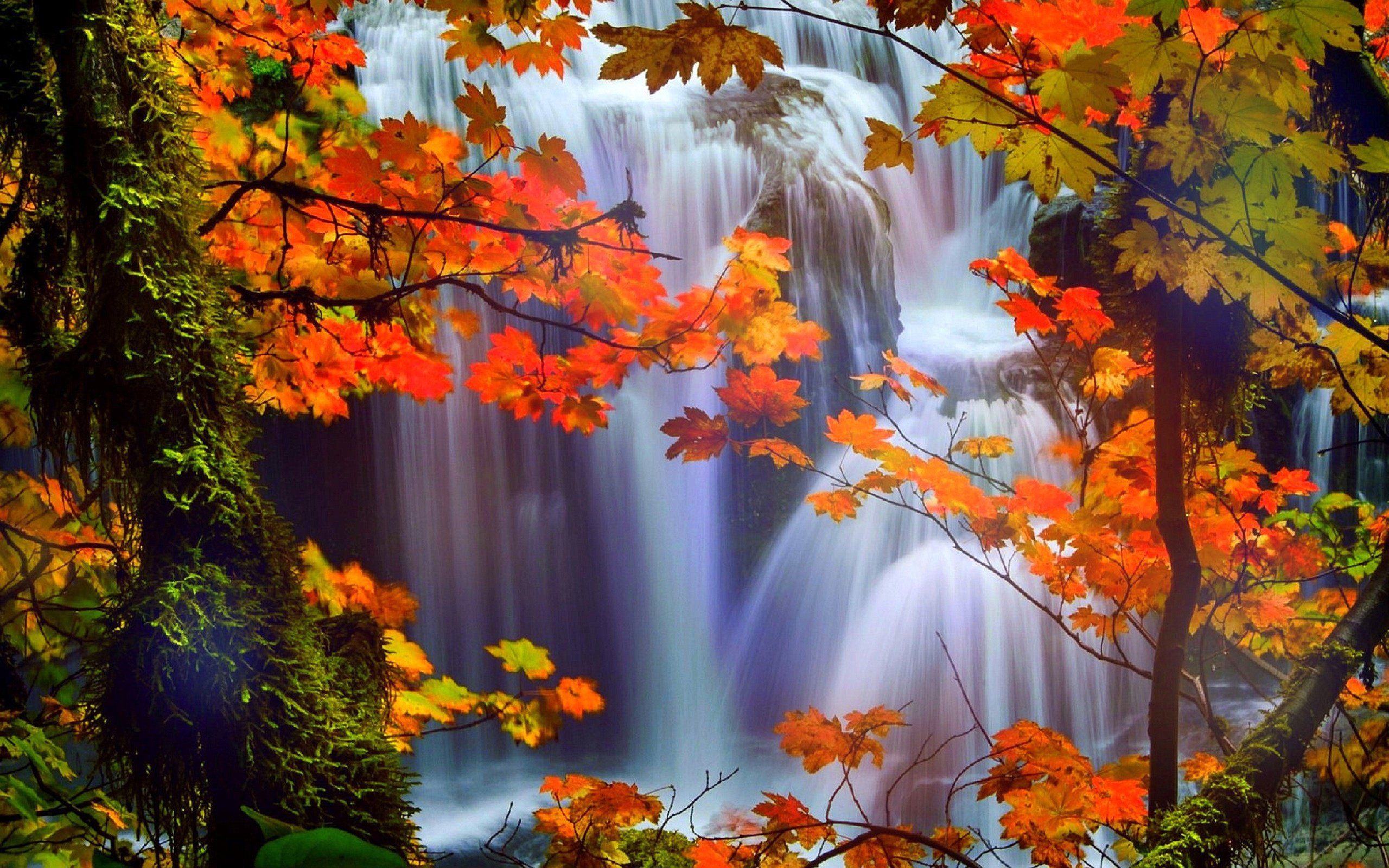 Fall Scenery HD Wallpapers - PixelsTalk.Net