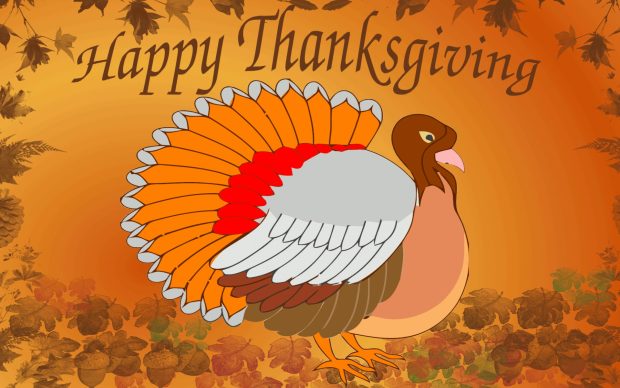 HD Funny Thanksgiving Backgrounds.