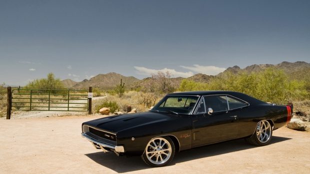 HD Muscle Car Photo.