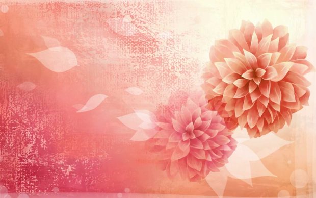 HD Peony Image.