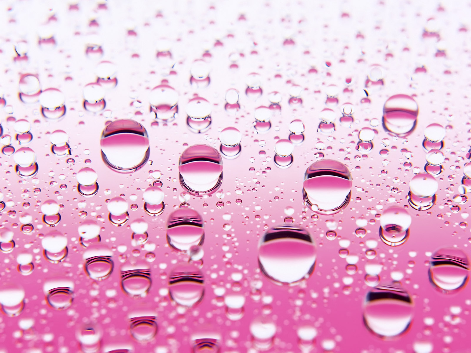 Розовые капли воды. Розовые пузыри. Капли воды. Розовые капли. Розовый фон.
