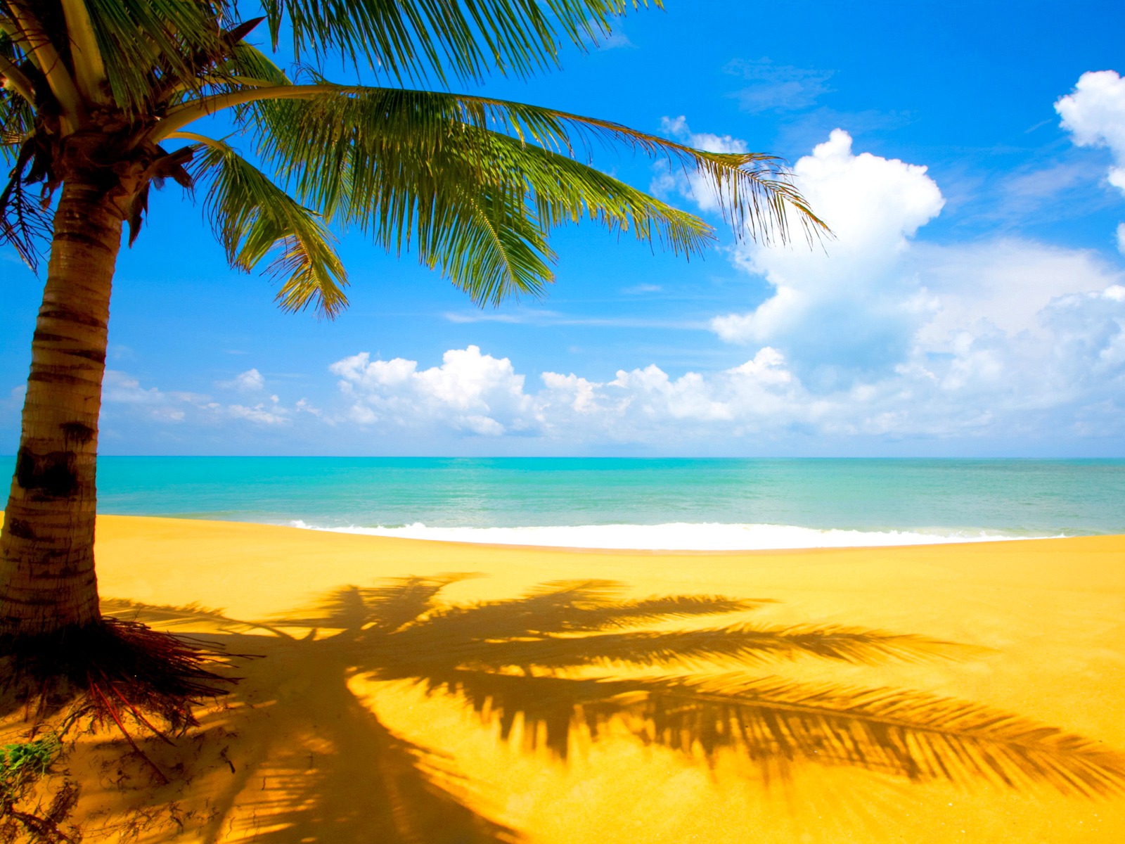 Puerto Rico Wallpapers Free Download Pixelstalknet