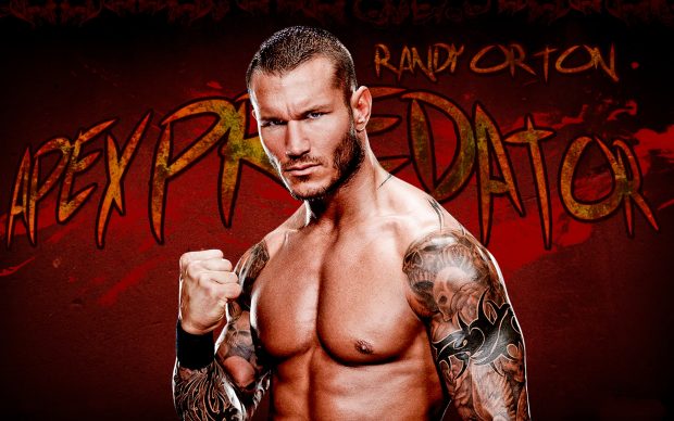 HD Randy Orton Wallpaper.