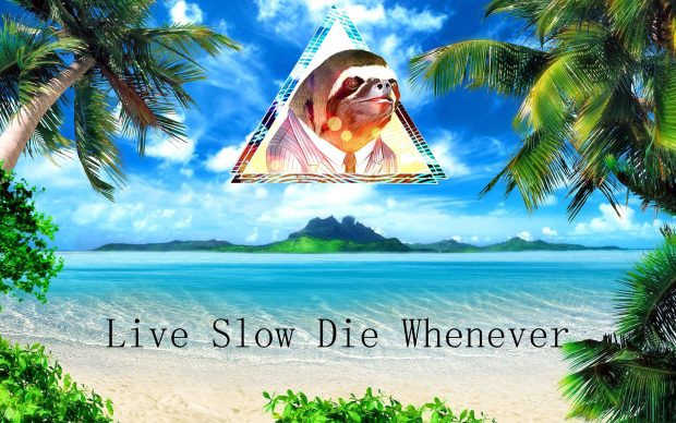 HD Sloth Background.