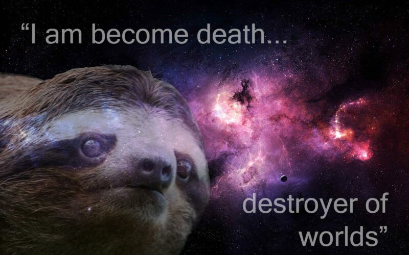 Sloth Wallpapers - PixelsTalk