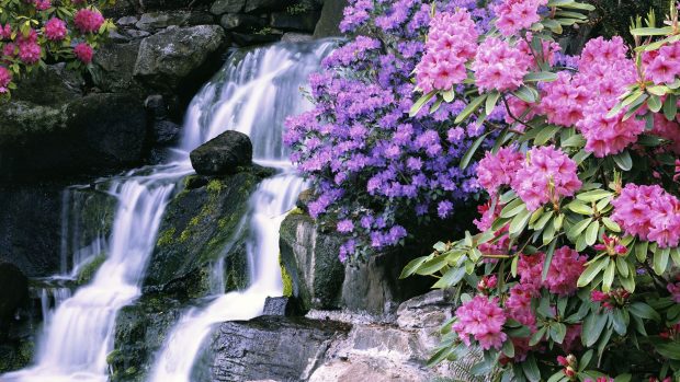 Waterfall in Crystal Springs Garden