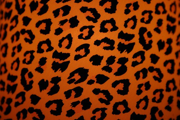 HD Wallpapers Animal Print Download.