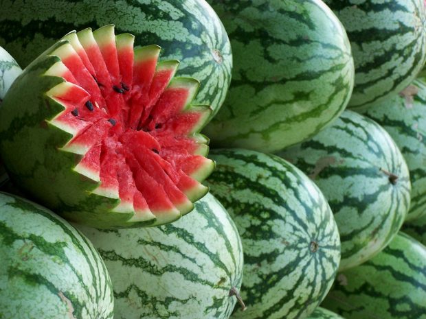 HD Watermelon Photo.