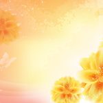 HD wallpapers background pictures.