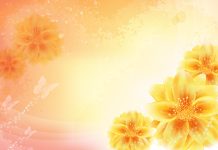 HD wallpapers background pictures.