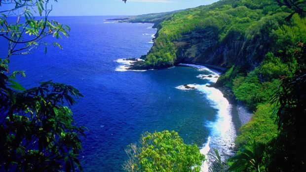 Hawaii Backgrounds.