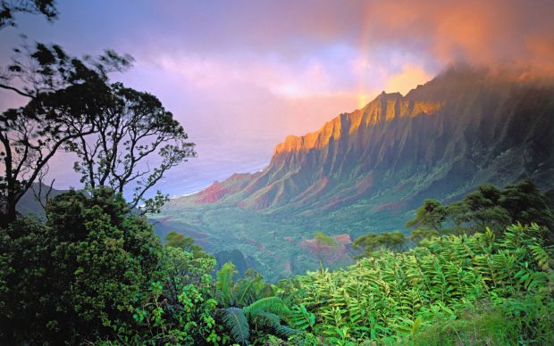 Hawaii Wallpapers HD.