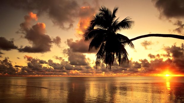 Hawaii Wallpapers HD Desktop.