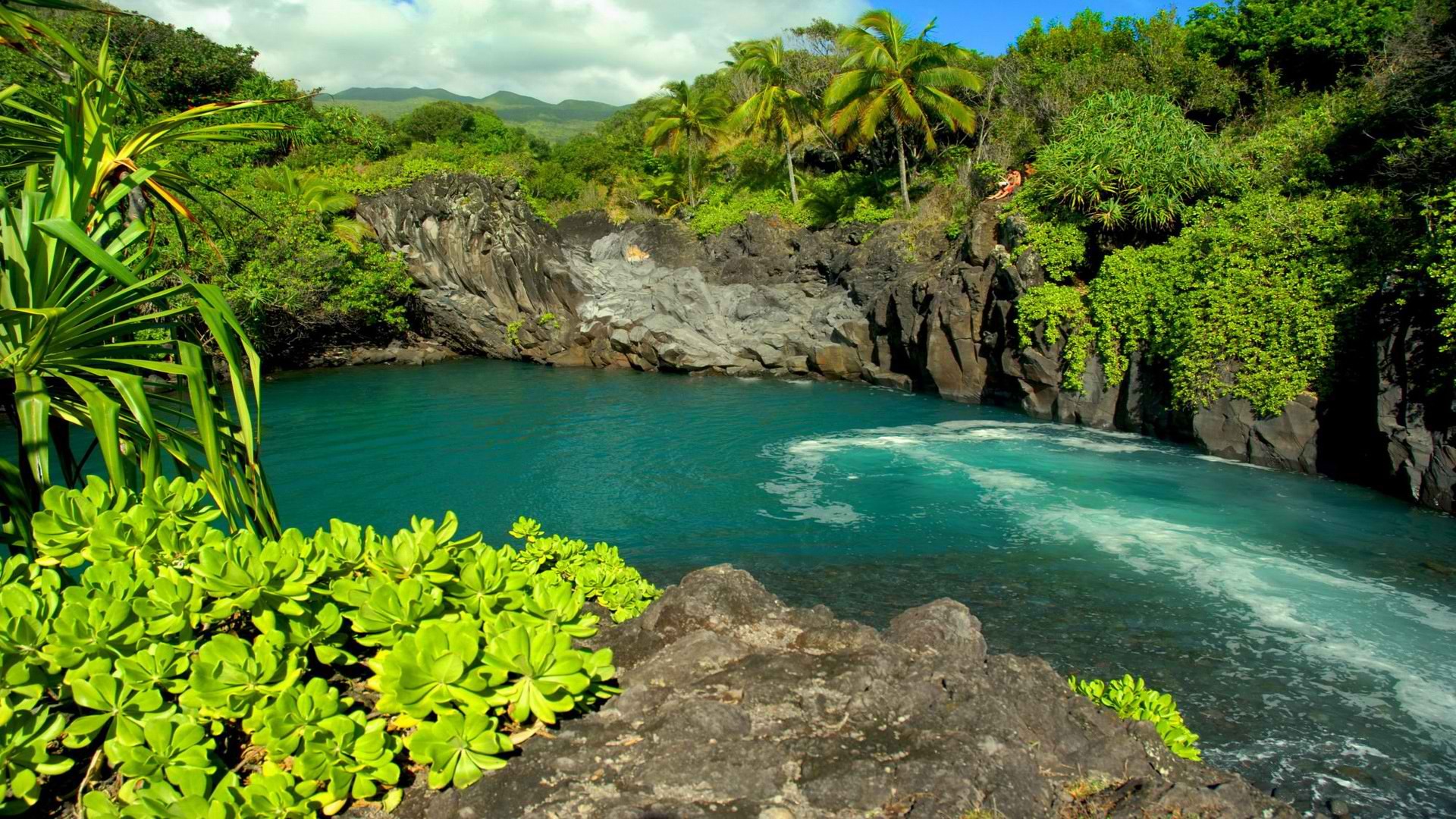 Tunnels Beach Kauai Hawaii iPhone 5s Wallpaper  Tunnels beach kauai  Beach wallpaper Beach wallpaper iphone