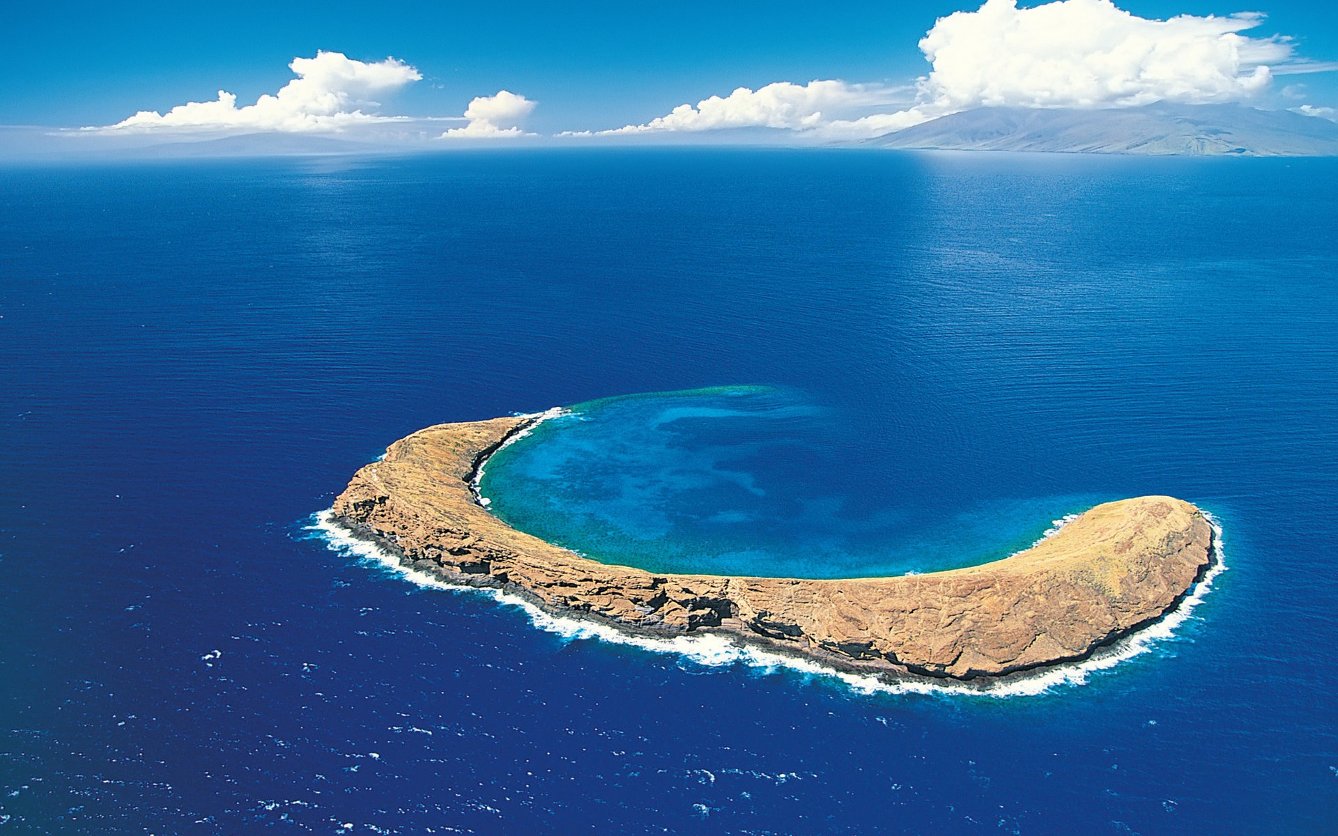 Beach in Hawaii 4K wallpaper