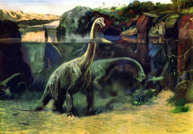Herbivorous Dinosaur Backgrounds.